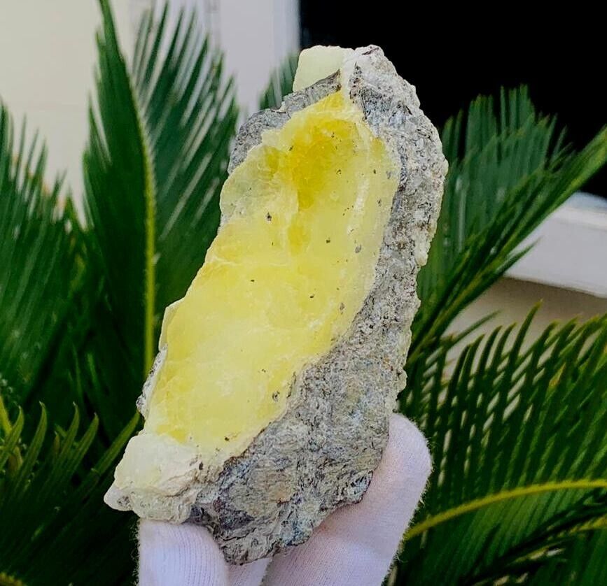 Natural Deep Yellow Brucite Crystal On Specimen @Baluchistan Pak ~ 287 Grams