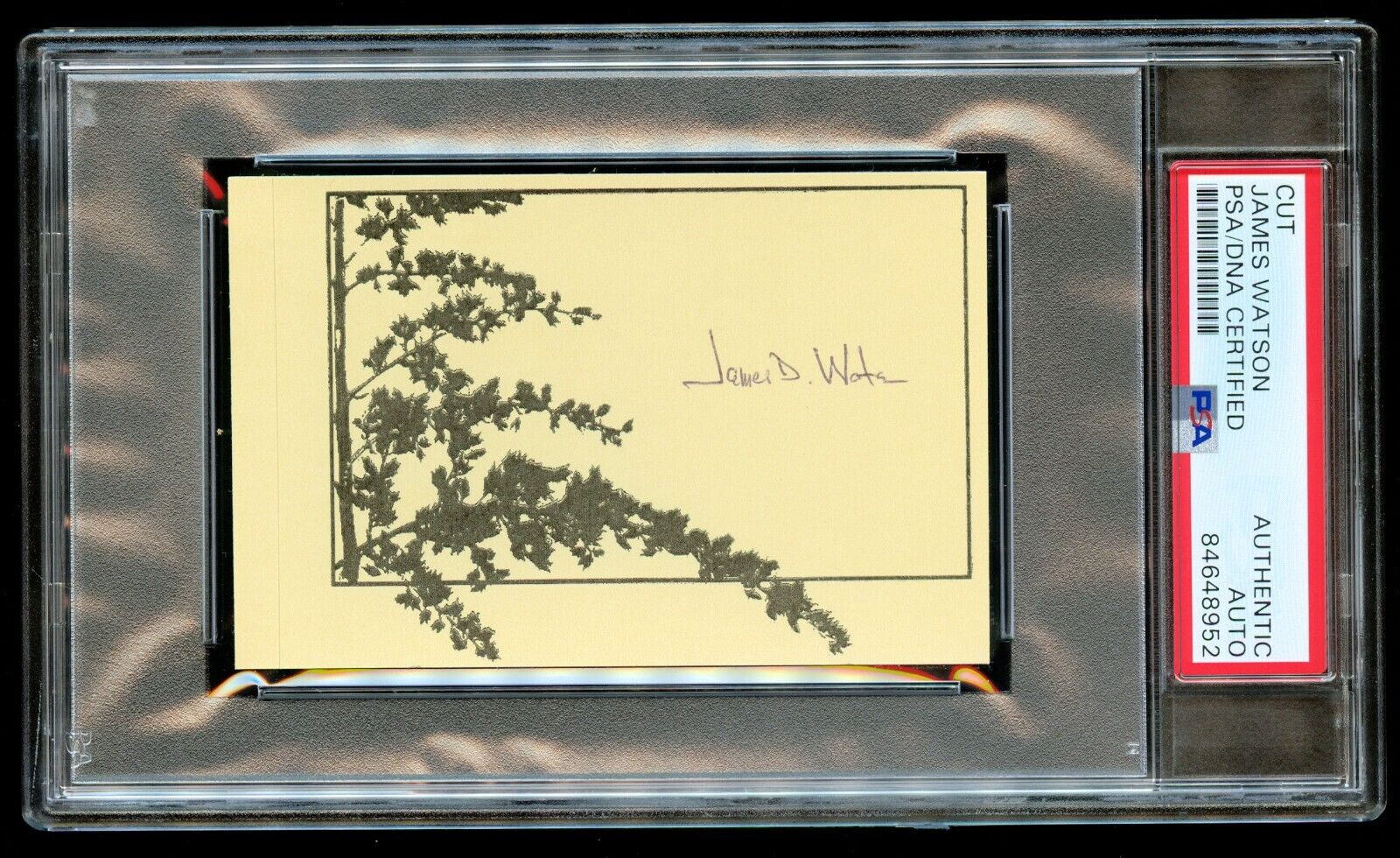 James Watson signed autograph 2.5x4 Discovered DNA Double Helix Structure PSA