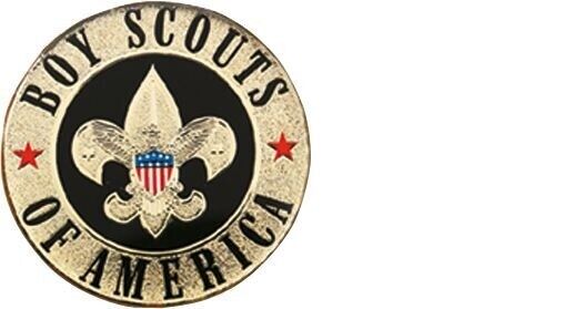 BOY SCOUTS OF AMERICA DOMED DECAL STICKER BSA NEW 3 1/4\