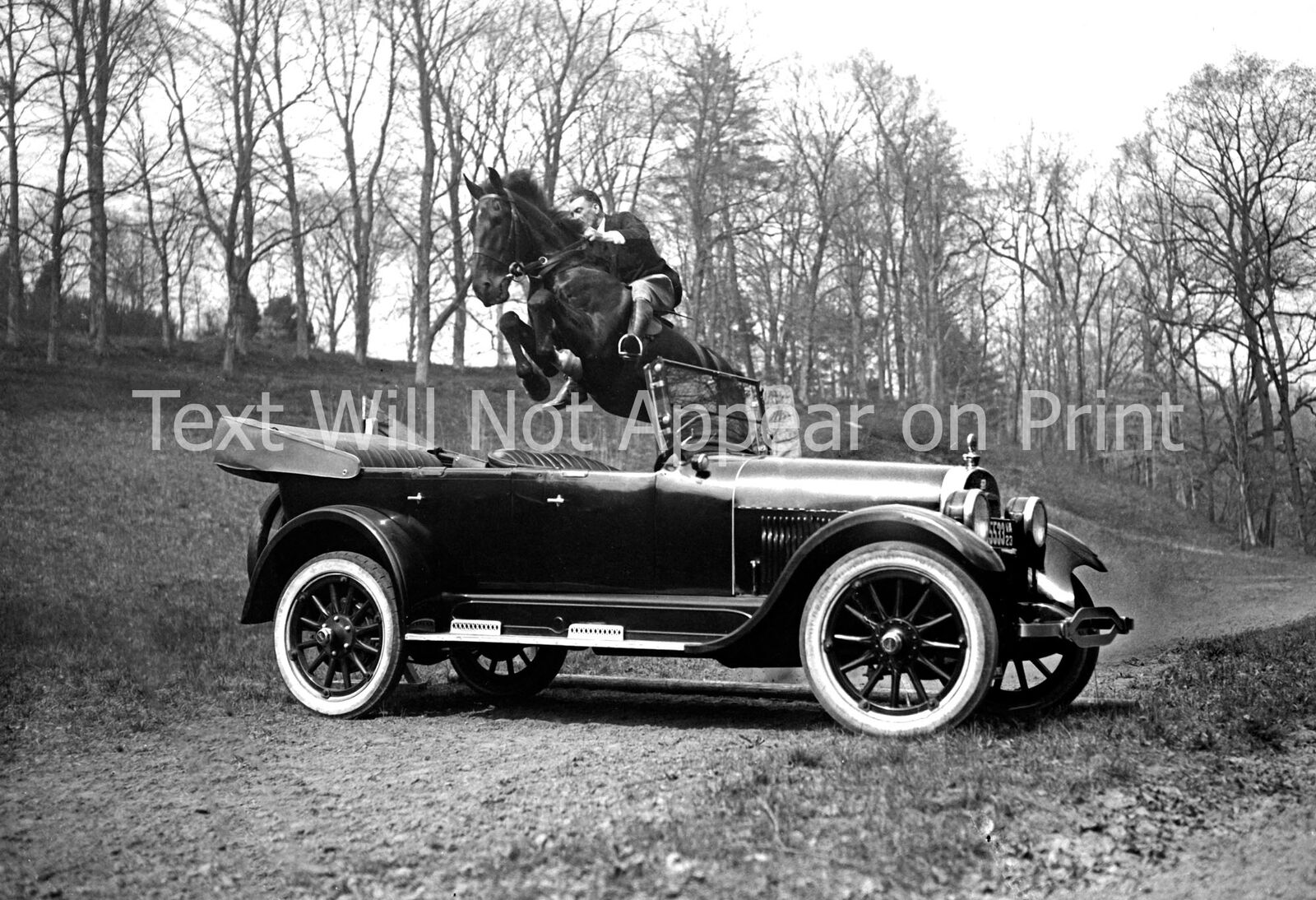 1923 Race Horse Tipperary Jumping a Car Vintage Old Photo 13\