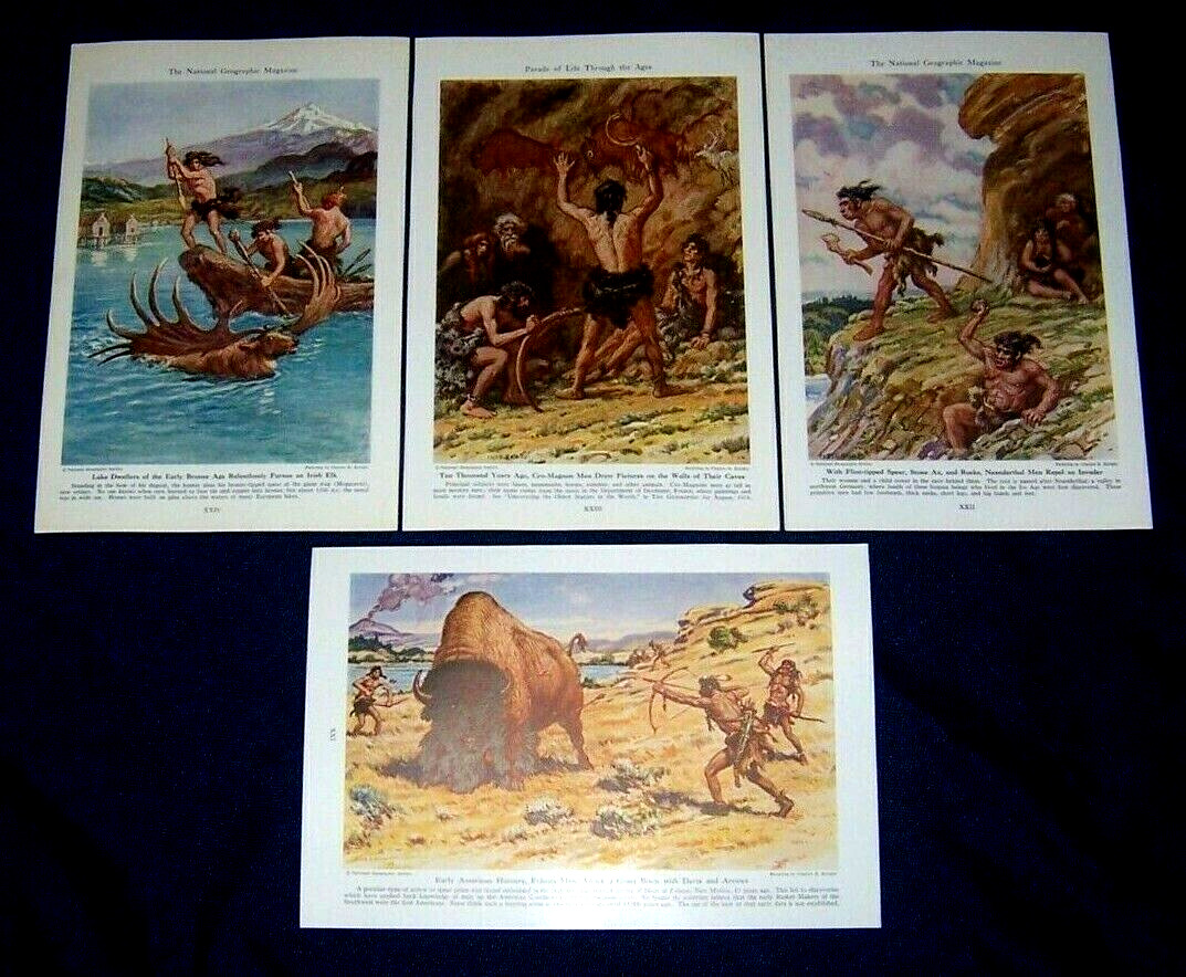 Lot of 4 1942 Charles R Knight Illustrations PREHISTORIC MAN ~ Neanderthal, etc