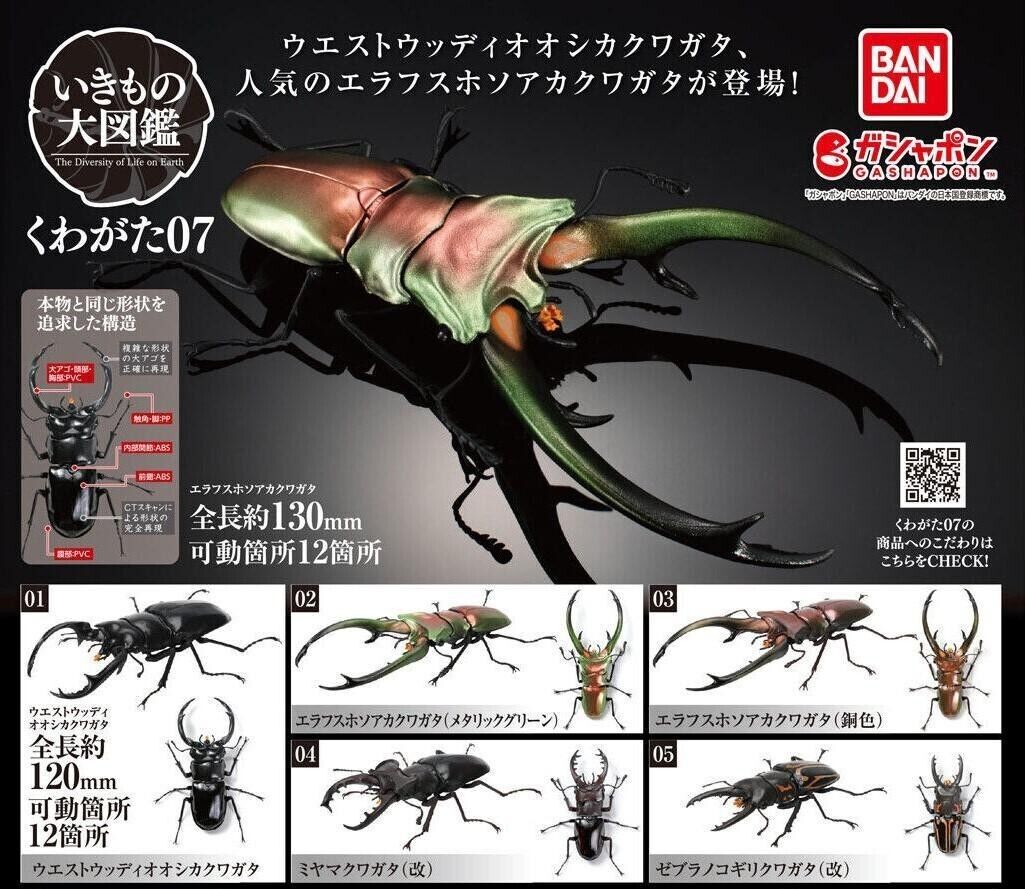Gashapon The Diversity of Life on Earth Stag Beetle Figure vol.7 Complete Set