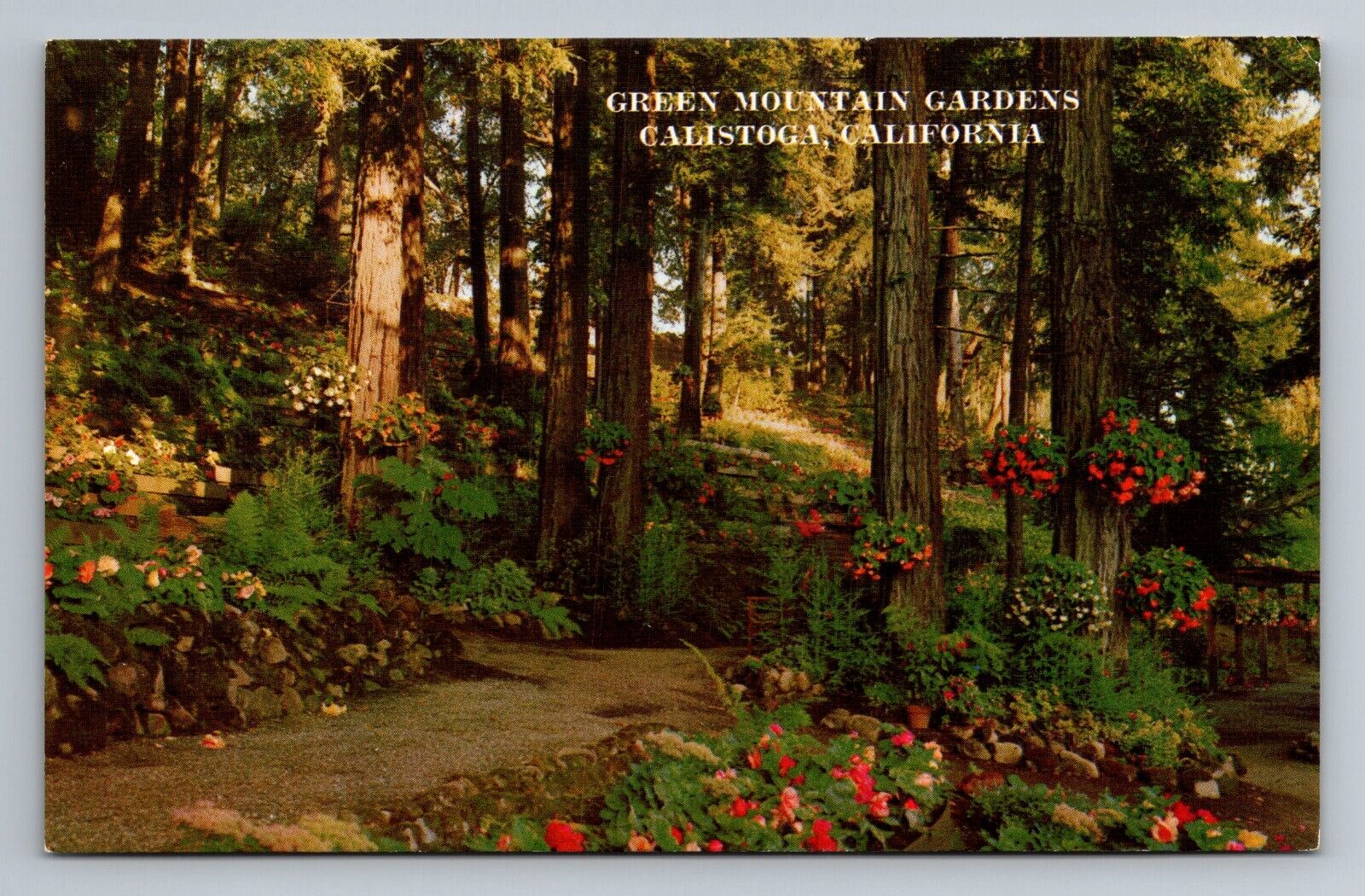 Postcard - Green Mountain Gardens Calistoga, California