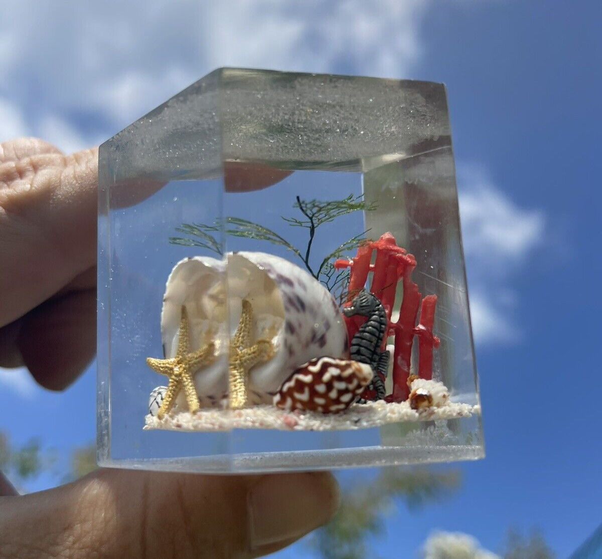 CHARITY SALE Seahorse Ocean Reef Red Coral Mini Paperweight VINTAGE ❤️blt39j5