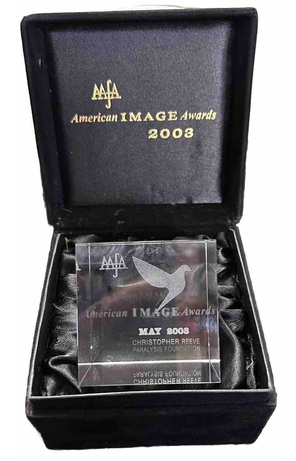 Christopher Reeve Paralysis Foundation May 19, 2003 AAFA American Image Awards