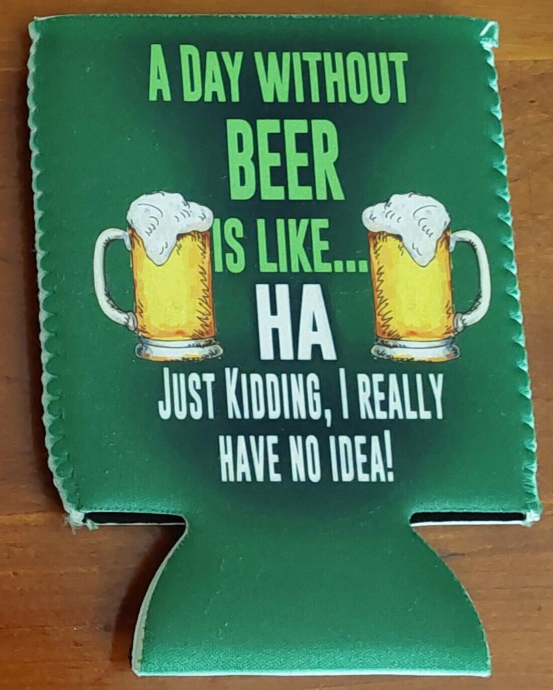 FUNNY CAN/BOTTLE HOLDER KOOZIE COOZIE A DAY WITHOUT BEER IS... 