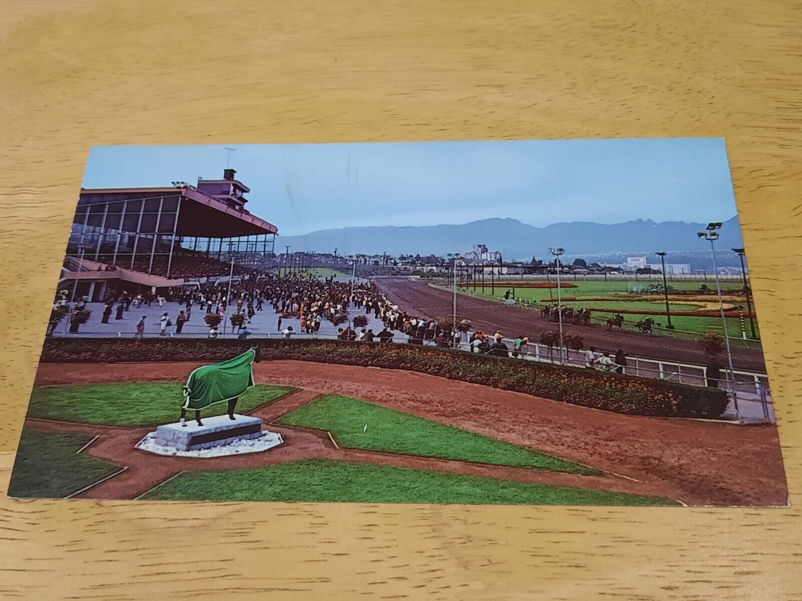 Vancouver B.C. Canada Race Track P.N.E. Grounds Horse Vintage Postcard