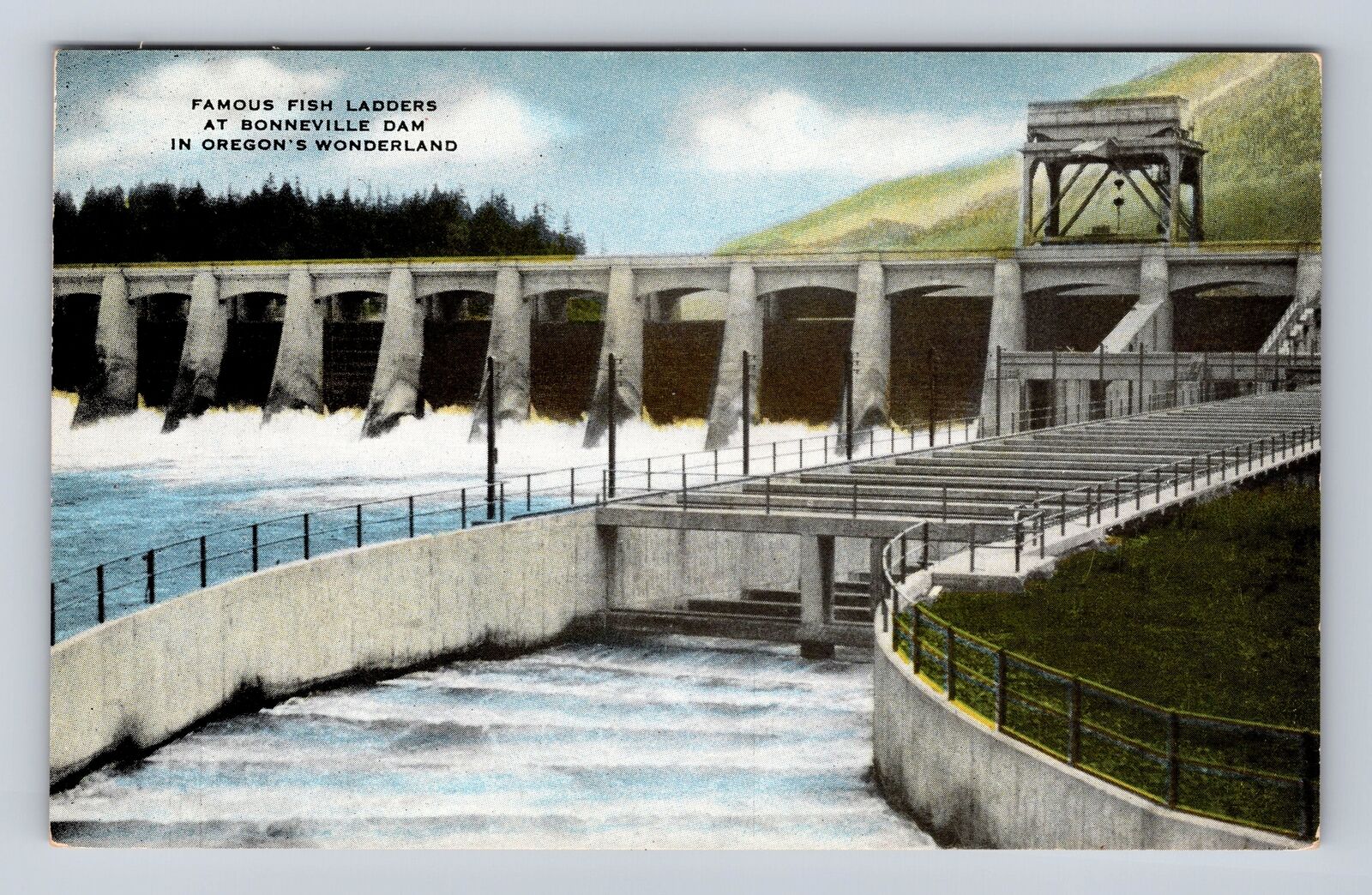 Bonneville Dam OR-Oregon, Salmon Fish Ladders, Columbia River, Vintage Postcard