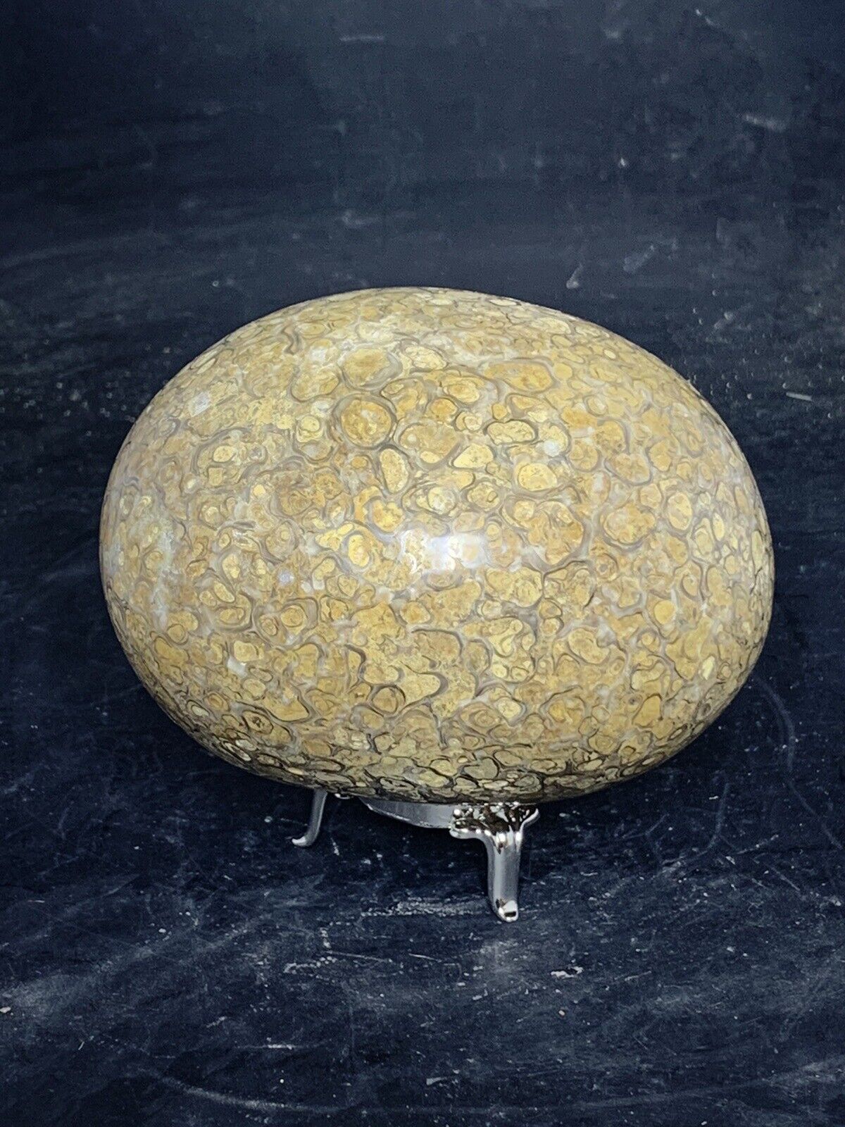 Oyster Ball ,Ostreolith ( Middle Jurassic Of Utah) Polished