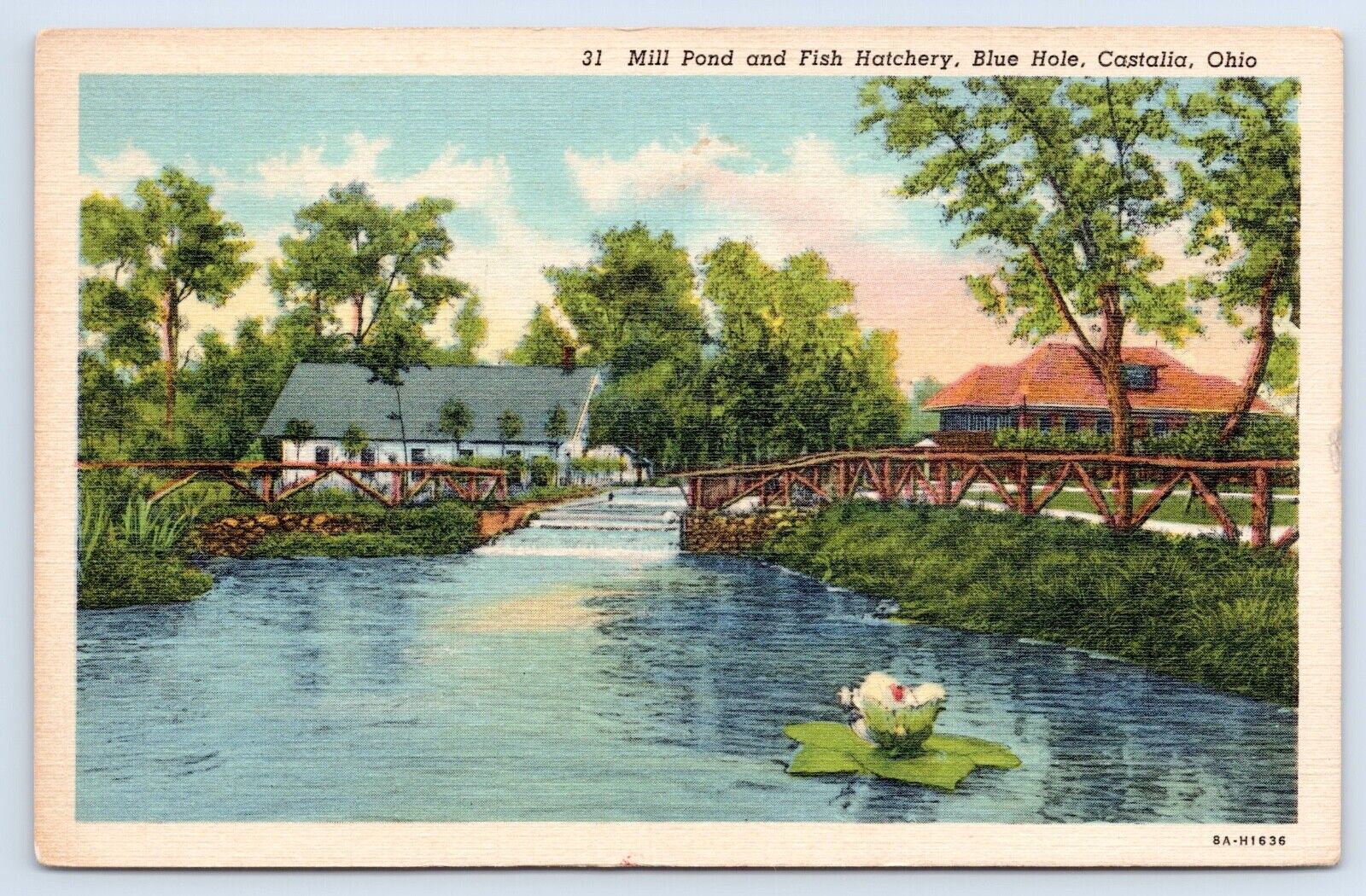 Mill Pond And Fish Hatchery Blue Hole Castalia Ohio 1951 Erie County OH Postcard