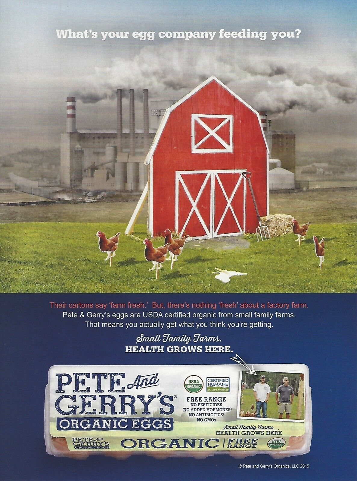 2015 Pete & Gerry's Organic Free Range Eggs print ad Food advertisement