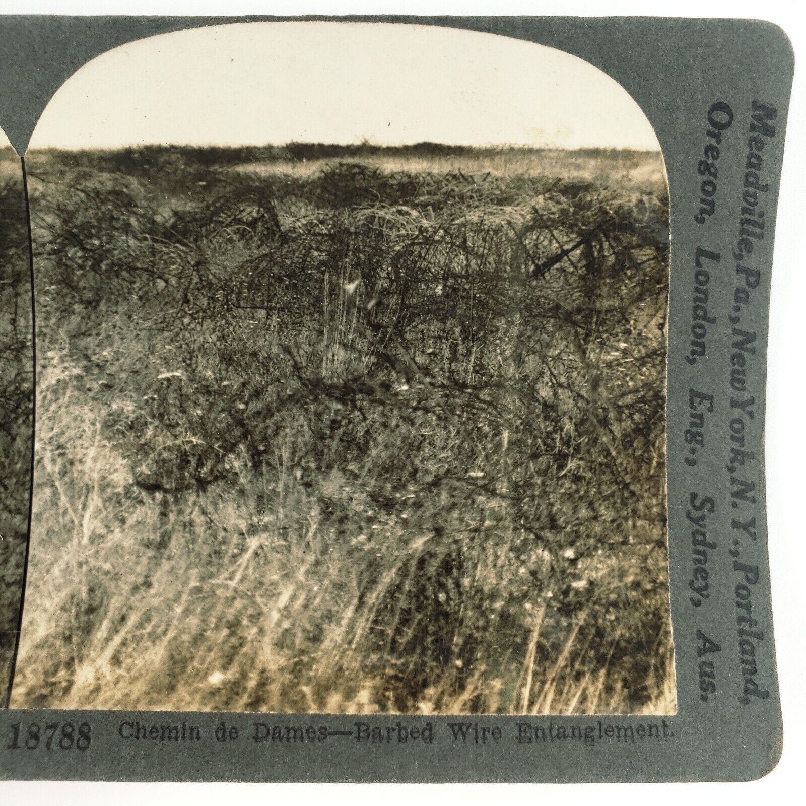 Chemin des Dames Barbed Wire Stereoview c1918 Keystone France WW1 Battle G175