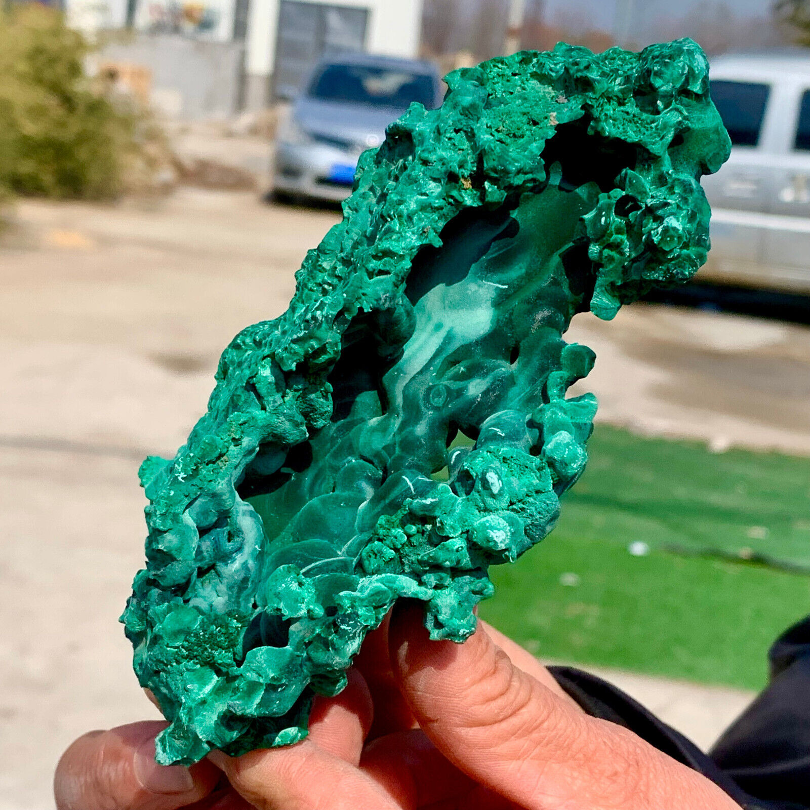 415G Natural glossy Malachite cat eye transparent cluster rough mineral sample