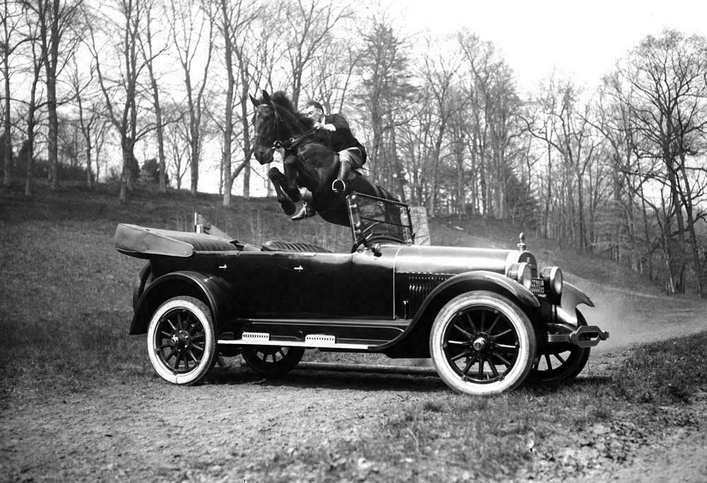 1923 Race Horse Tipperary Jumping a Car Vintage Old Photo 8.5\