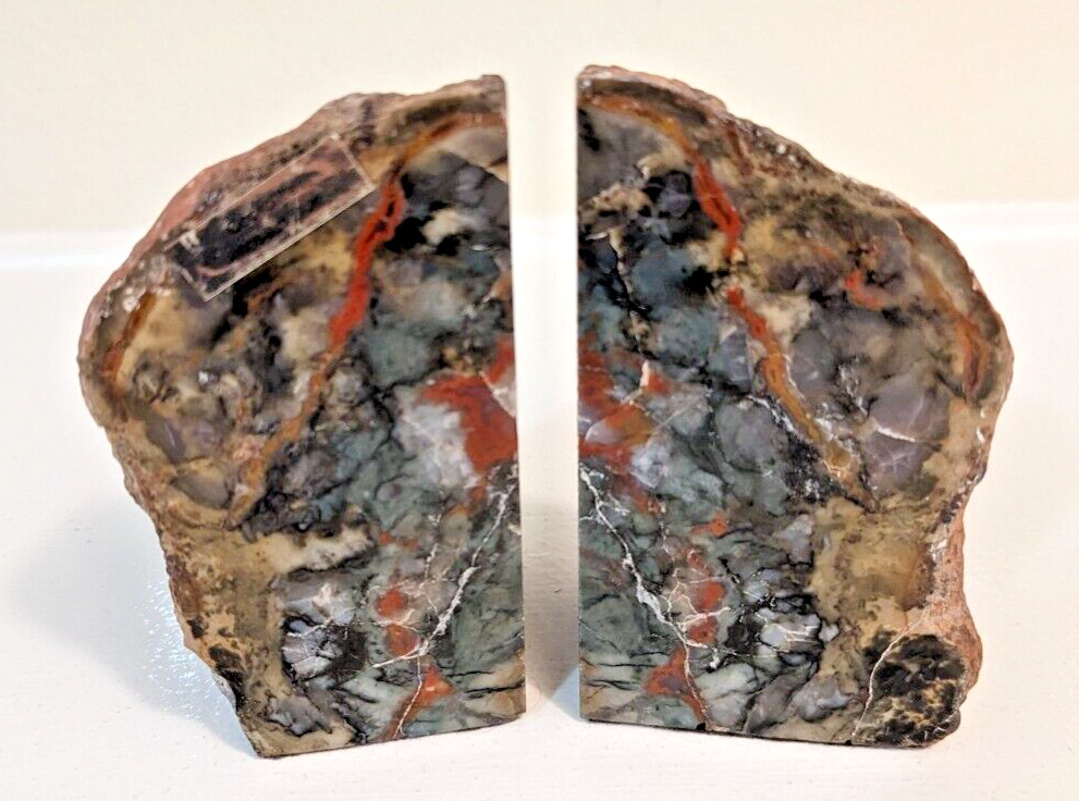 Coprolite Dinosaur Dung Bookends Polished Inside Natural Out 5\