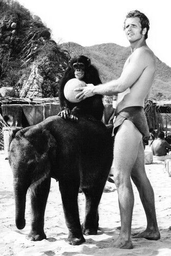 Ron Ely Tarzan 11x17 Mini Poster chimp baby elephant