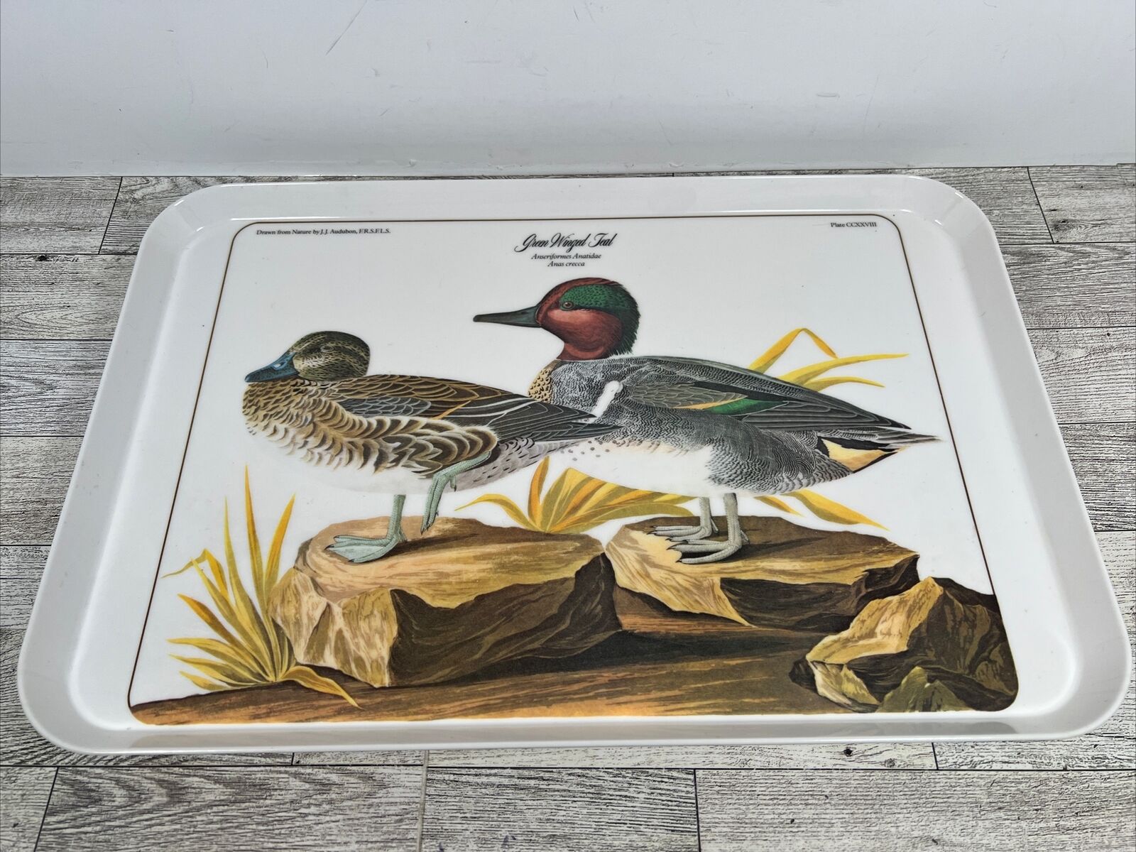 JJ Audubon Green Winged Teal Duck Plastic Tray 17.5 x 11.5 Nature Vintage