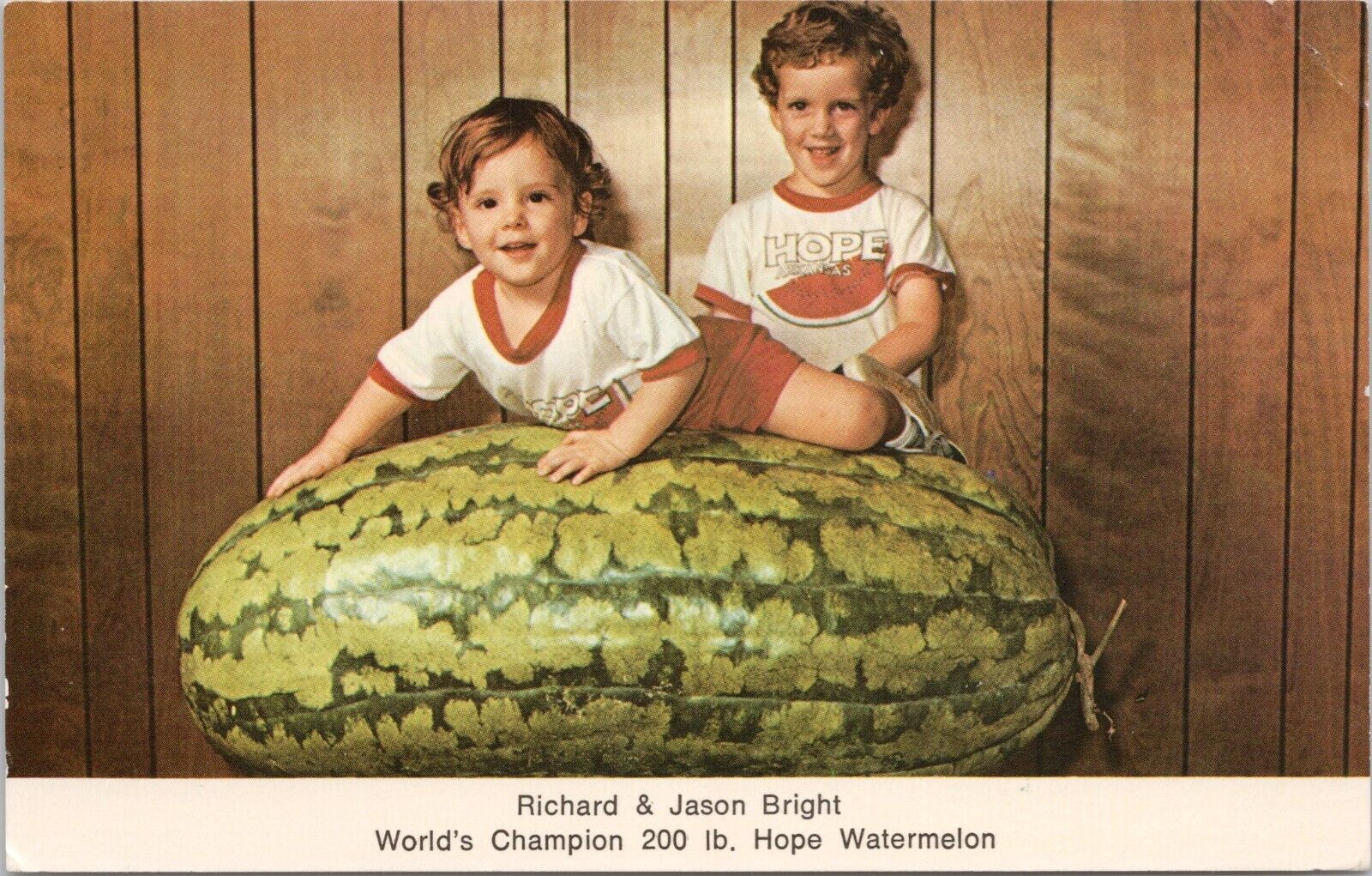 \'World\'s Champion 200 lb. Hope Watermelon Arkansas\' ~ Vintage POSTCARD