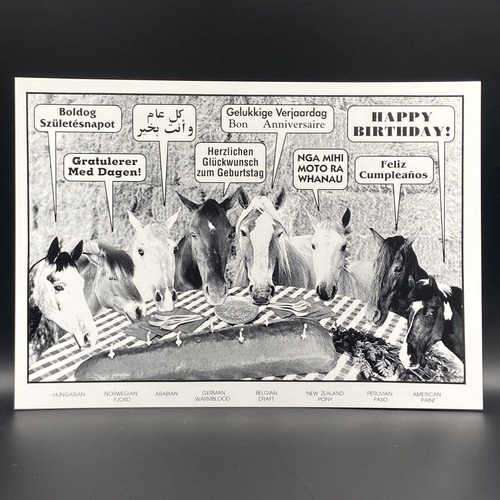Funny Vintage Birthday Card with Horses - Happy Birthday In 8 Languages - b/w