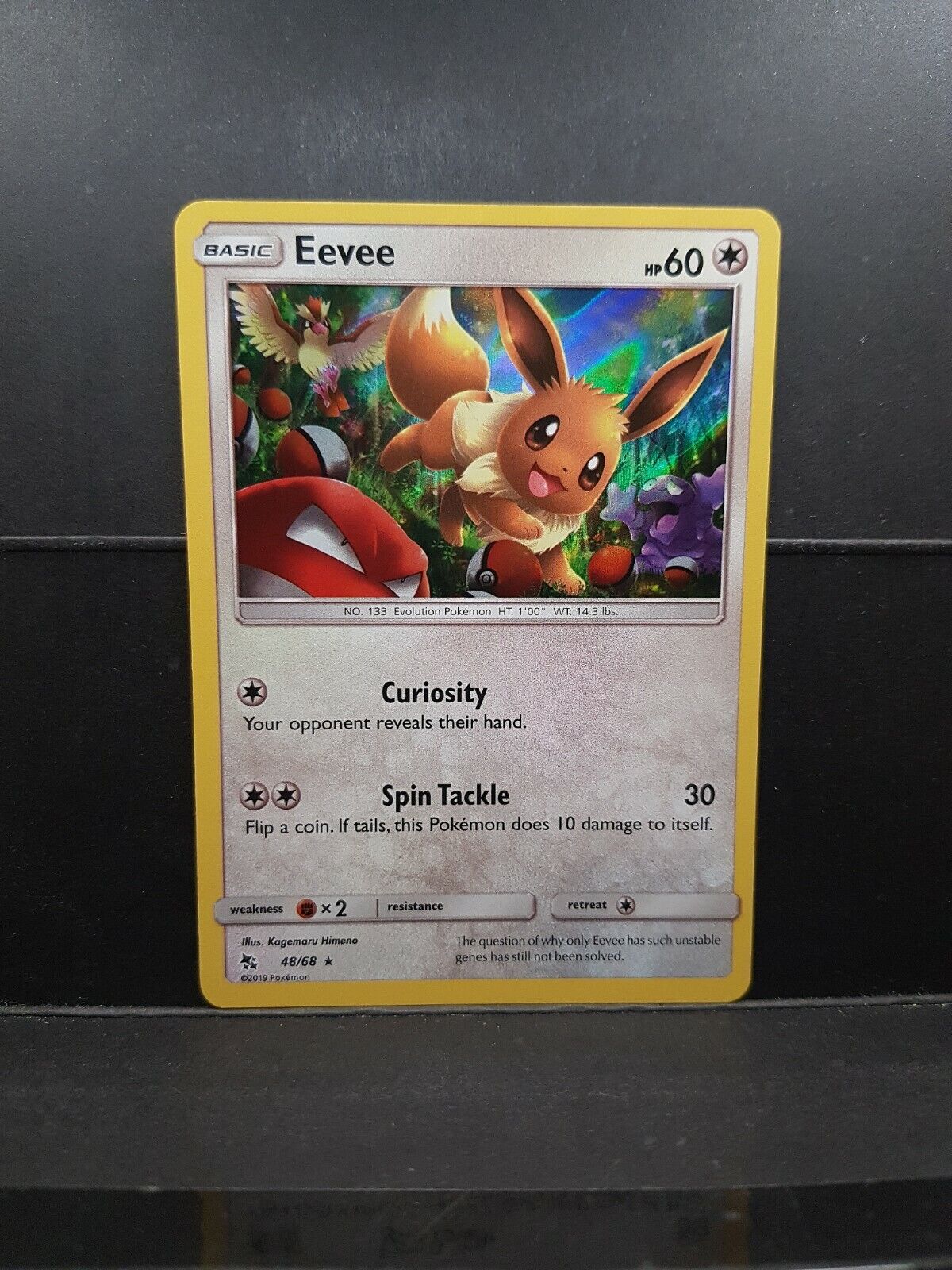 Eevee 48/68 Hidden Fates Holo Pokémon Pokemon Card Near Mint