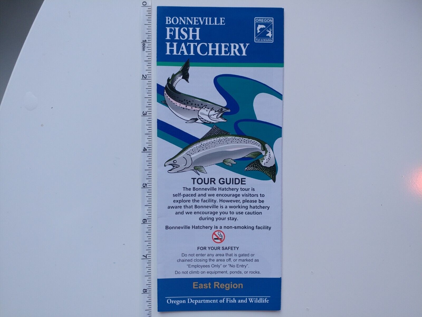 Bonneville Fish Hatchery color brochure, Oregon - Self-Guided Tour brochure