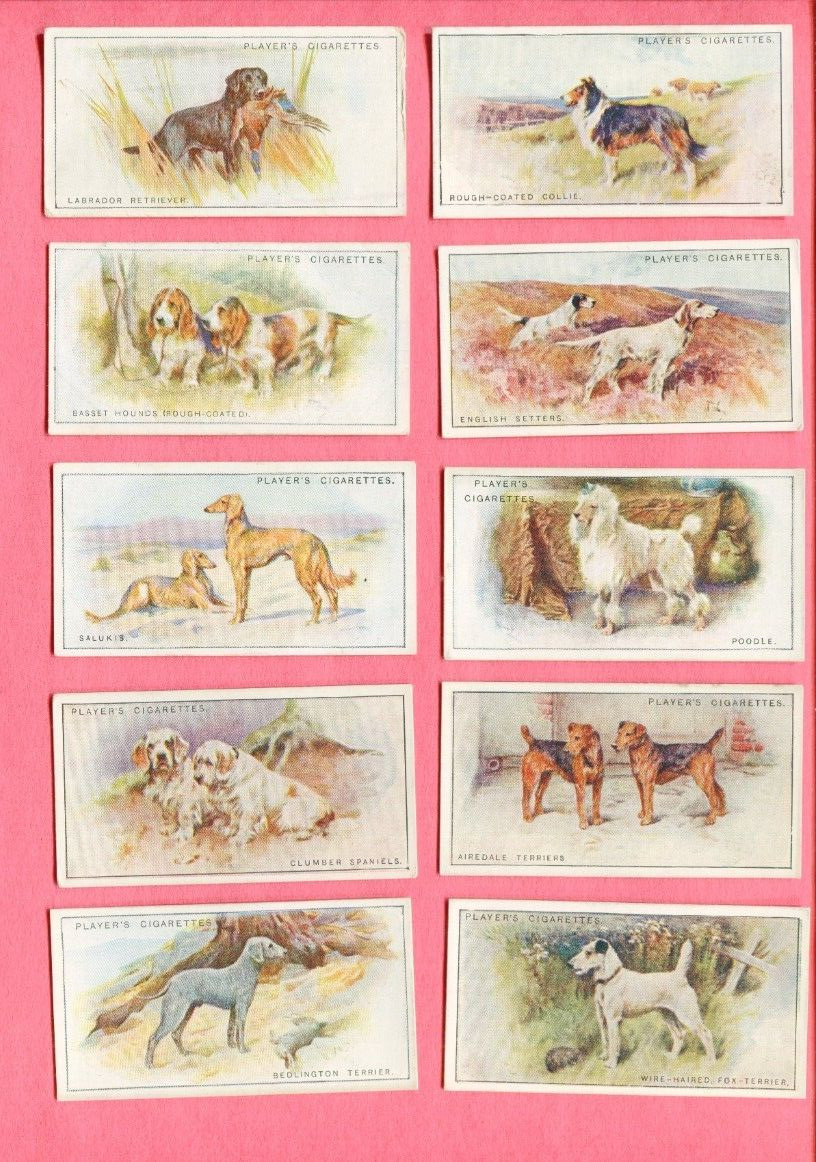1925 JOHN PLAYER & SONS CIGARETTES DOGS 10 TOBACCO CARD LOT
