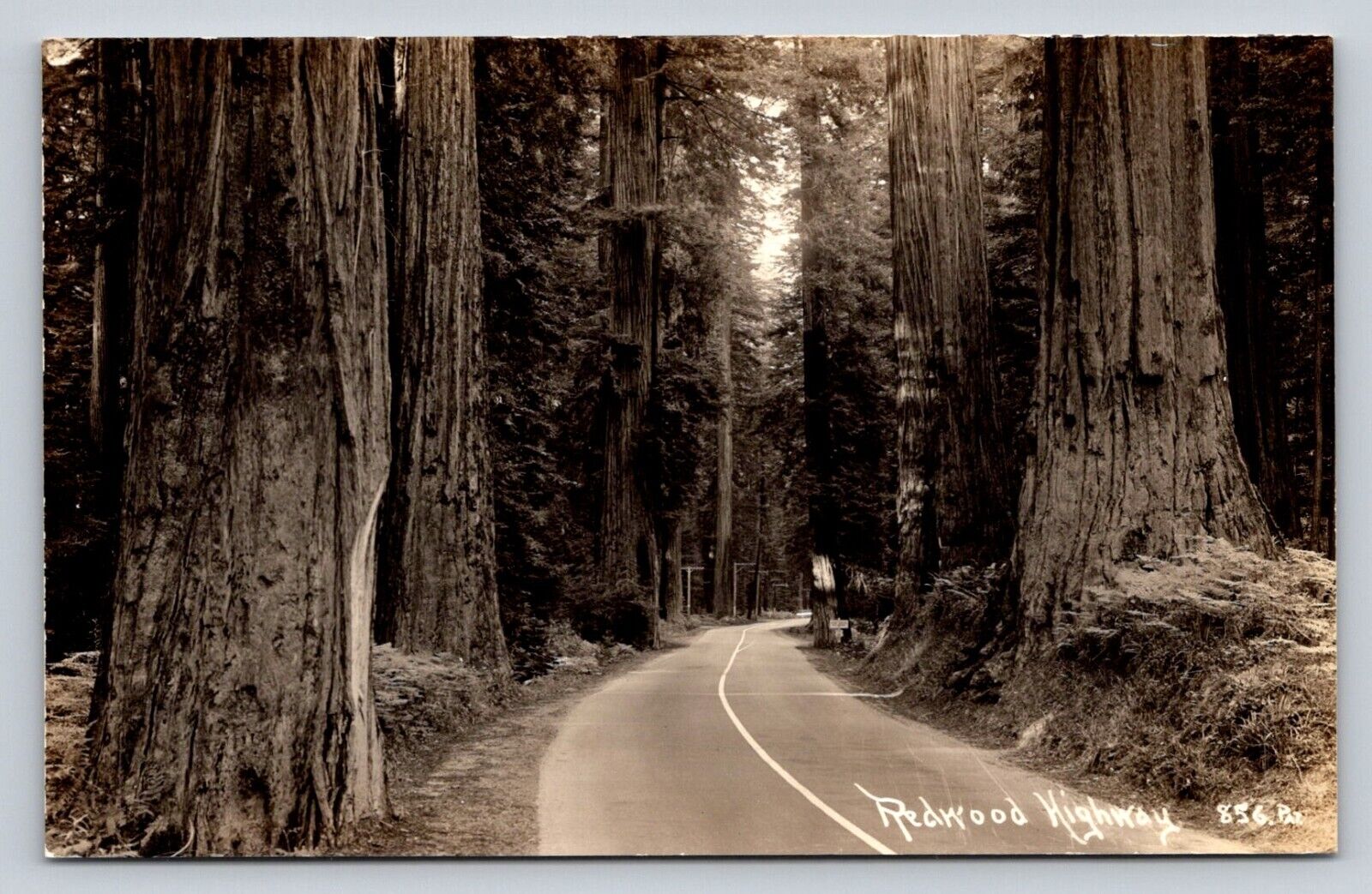 RPPC  Redwood Highway California Real Photo P703