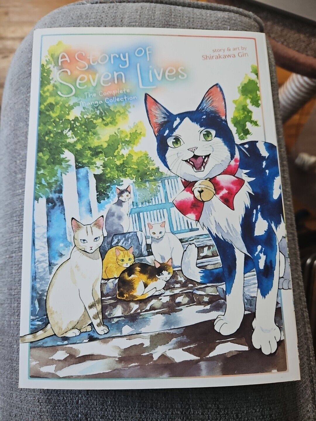 A Story Of Seven Lives Manga
