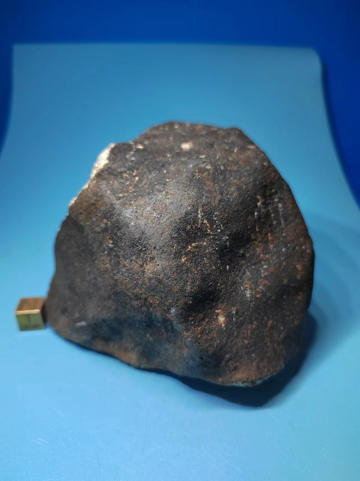 988g Hammadah al Hamra 346/HaH 346/Ghadamis Meteorite(L6)Fusion Crust from Libya