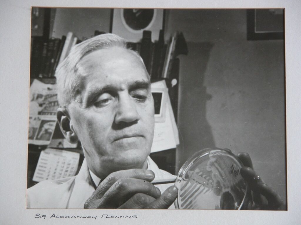 Orig Vtg 1940s Sir Alexander Fleming Portrait Photograph Penicillin Antibiotic