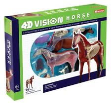 Tedco Toys 26101 4D Vision Horse Anatomy Model picture