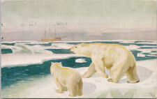 Amundsen Arctic Drift Expedition Fram Polhavet Polar Bears Norge Postcard H17 picture