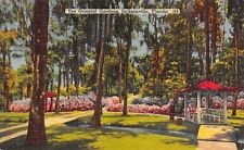 D2043 The Oriental Gardens, Jacksonville, Florida - Linen Postcard Tichnor Bros. picture