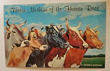 Unused  W.D Hoards  & Sons Dairy Cow Postcard  Fort  Atkinson 1961  Wisconsin Z3 picture