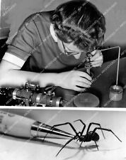 crp-41978 1954 animals science black widow spider webs used for optic sights cro picture