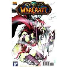 World of Warcraft #11 Lullabi cover in Near Mint minus condition. DC comics [a% picture