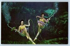 Weeki Wachee Florida FL Postcard Underwater Grand Canyon Theatre c1960 Vintage picture