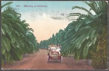 MOTORING IN CALIFORNIA Postcard Palms Along Dirt Road picture
