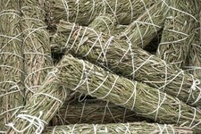 NessaStores- Rosemary Smudge Stick Incense 9" Bundle (9 pcs) #JC-161 picture