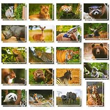 40x Wild Animal Postcards, Tiger, Bear, Giraffe, Elephant, Lion, Zebra, 4x6