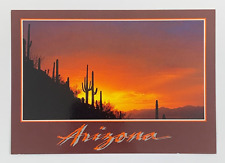 Fire in the Sky Sunset in Arizona Postcard Unposted picture