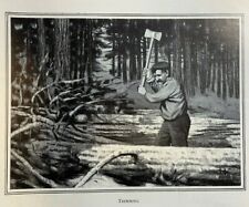 1909 Higgins Minister to Minnesota Lumberjacks picture