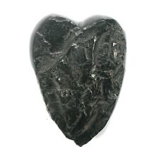 DVH 76g US Shungite Bitumino Coal Heart Fossil Fuel Climate Grief Healing (4592) picture