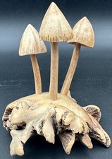 Wooden Carved Mushroom Sculpture Figure Forest Nature Decor Wood Rose Parasite picture
