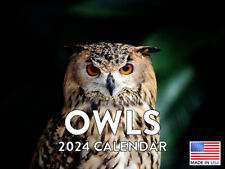 Owl Bird Calander 2024 Wall Calendar picture
