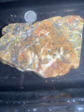 Agate J asper slab From Morgan Hill  Poppy Jasper Formation, Grandpa’s Old Stock picture