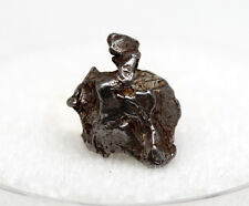 Campo del Cielo Iron Meteorite Specimen SHOOTING STAR w/ Display Case & ID card picture