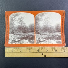 Fishing Guerneville CA Stereoview Elite Studio 1906 Earthquake Views picture