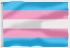 Transgender Pride Flag LGBT Flag Transsexual Flags 90X150cm Flags 2 Eyelets picture