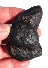 Rare UK Found Iron Differentiated Meteorite – Northern Cambridgeshire 182.0 grm picture